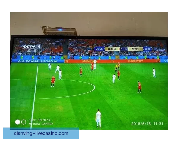 世界杯竞猜投注规则详解与投注技巧全攻略指南 世界杯竞猜投注规则详解与投注技巧全攻略指南